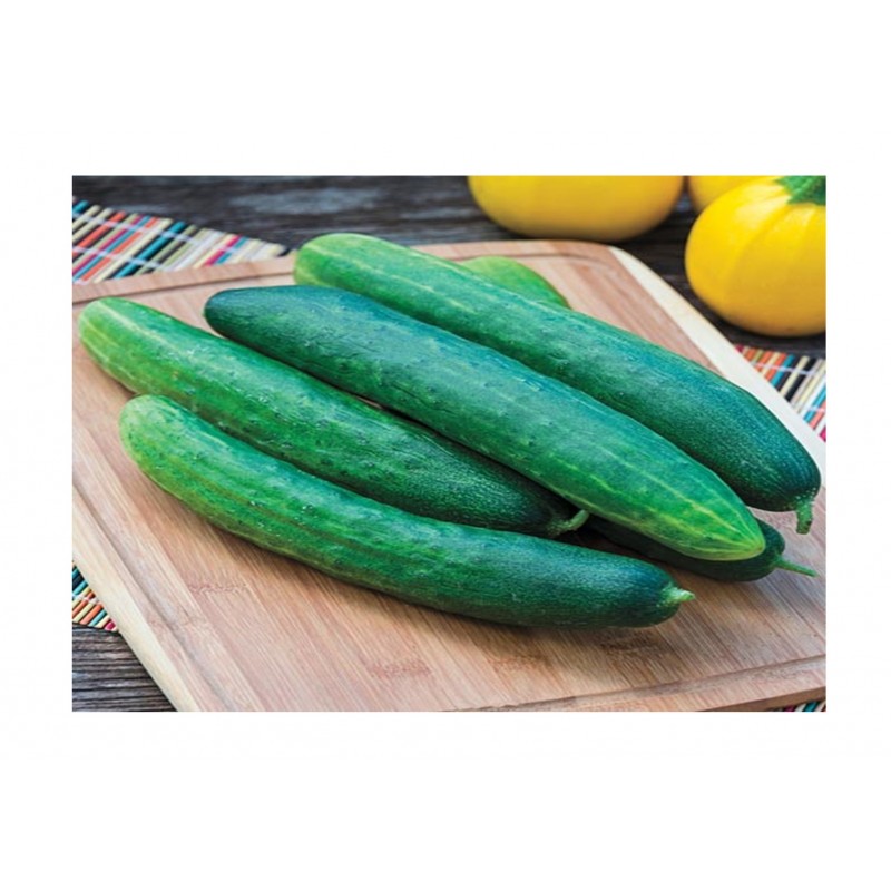 Kings Cucumber Burpless Tasty Green F1